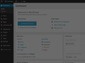 WordPress Theme Development